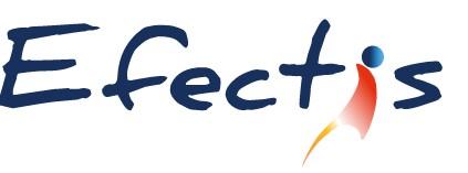 Logo Efectis